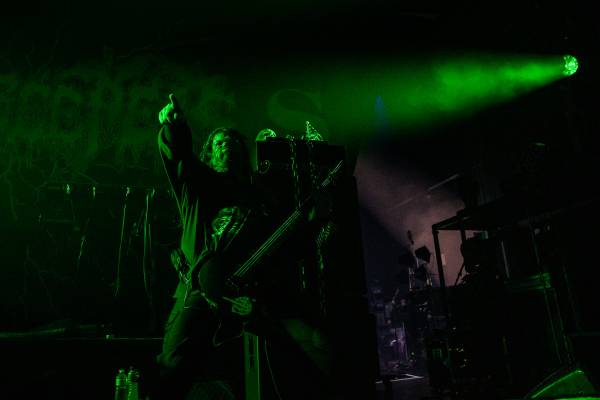 Gatecreeper à Bruxelles (Ancienne Belgique), le 04-11-2025, par Jürgen Bruynooghe — 33 sur 33