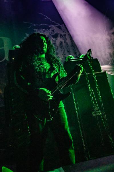 Gatecreeper à Bruxelles (Ancienne Belgique), le 04-11-2025, par Jürgen Bruynooghe — 4 sur 33