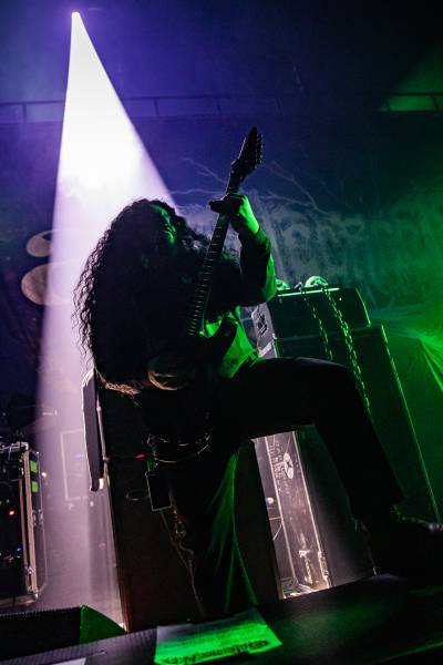 Gatecreeper à Bruxelles (Ancienne Belgique), le 04-11-2025, par Jürgen Bruynooghe — 5 sur 33