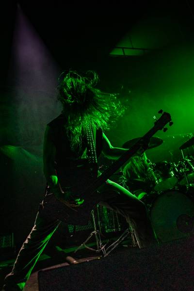 Gatecreeper à Bruxelles (Ancienne Belgique), le 04-11-2025, par Jürgen Bruynooghe — 6 sur 33