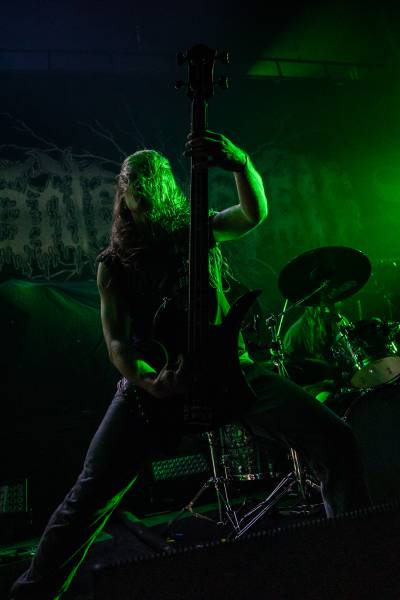 Gatecreeper à Bruxelles (Ancienne Belgique), le 04-11-2025, par Jürgen Bruynooghe — 7 sur 33