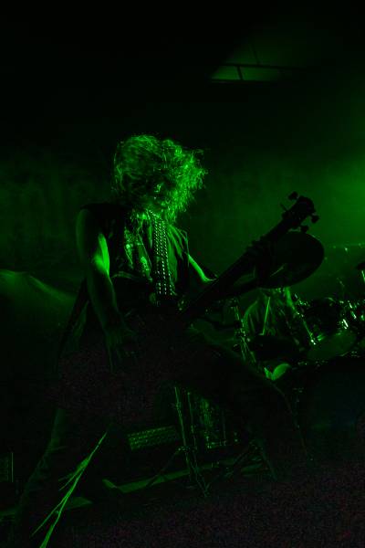 Gatecreeper à Bruxelles (Ancienne Belgique), le 04-11-2025, par Jürgen Bruynooghe — 8 sur 33