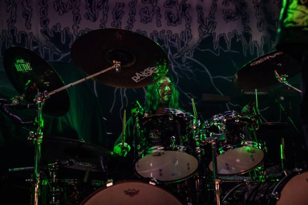 Gatecreeper à Bruxelles (Ancienne Belgique), le 04-11-2025, par Jürgen Bruynooghe — 9 sur 33