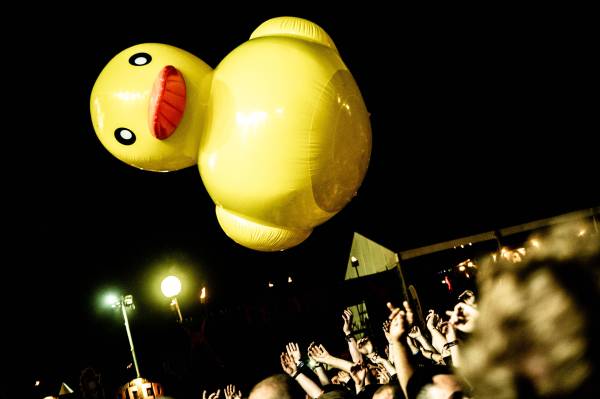Alestorm à Courtrai (Alcatraz Festival), le 06-08-2026, par Nicolas Lambinet — 17 sur 33
